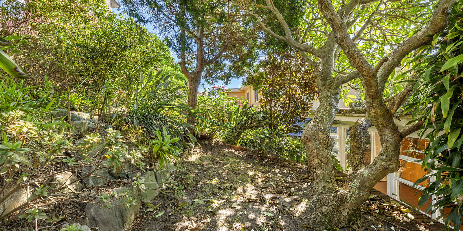 8 Dudley Street Randwick 8 Dudley Street Randwick