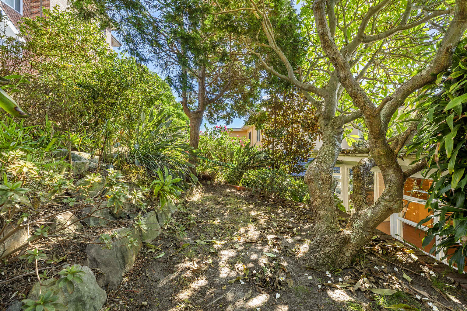 8 Dudley Street Randwick 8 Dudley Street Randwick