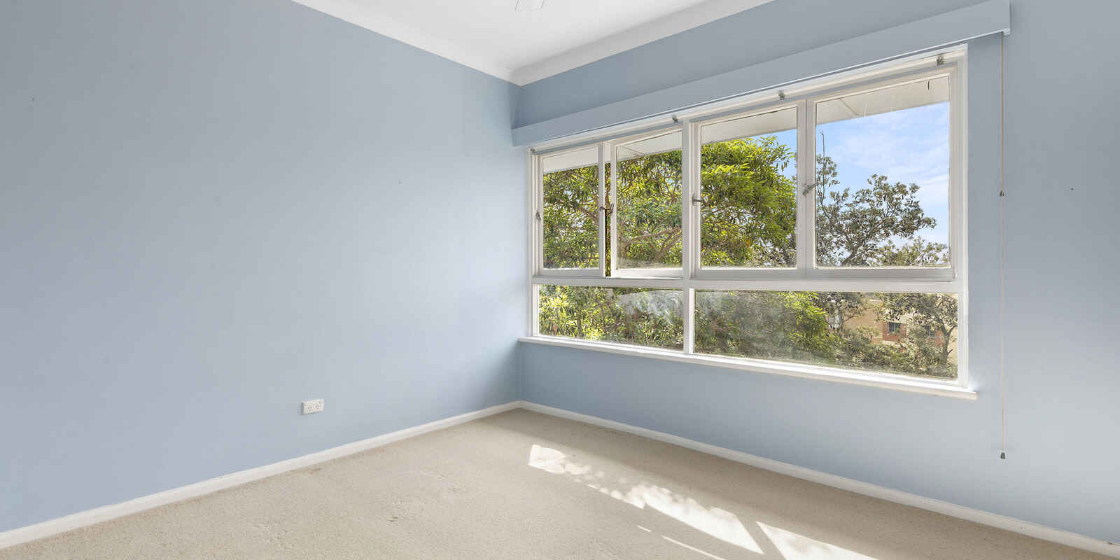 8 Dudley Street Randwick 8 Dudley Street Randwick