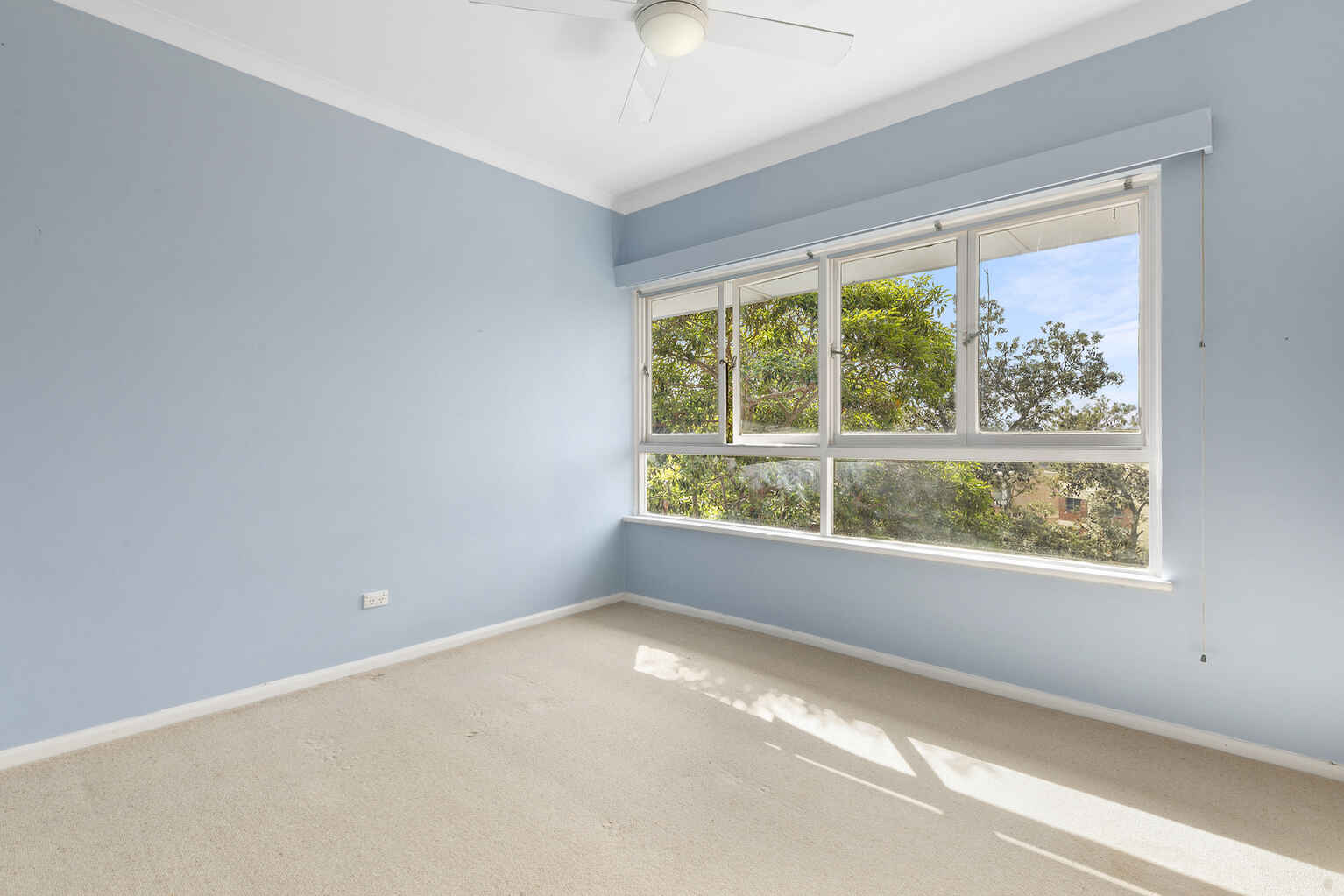 8 Dudley Street Randwick 8 Dudley Street Randwick
