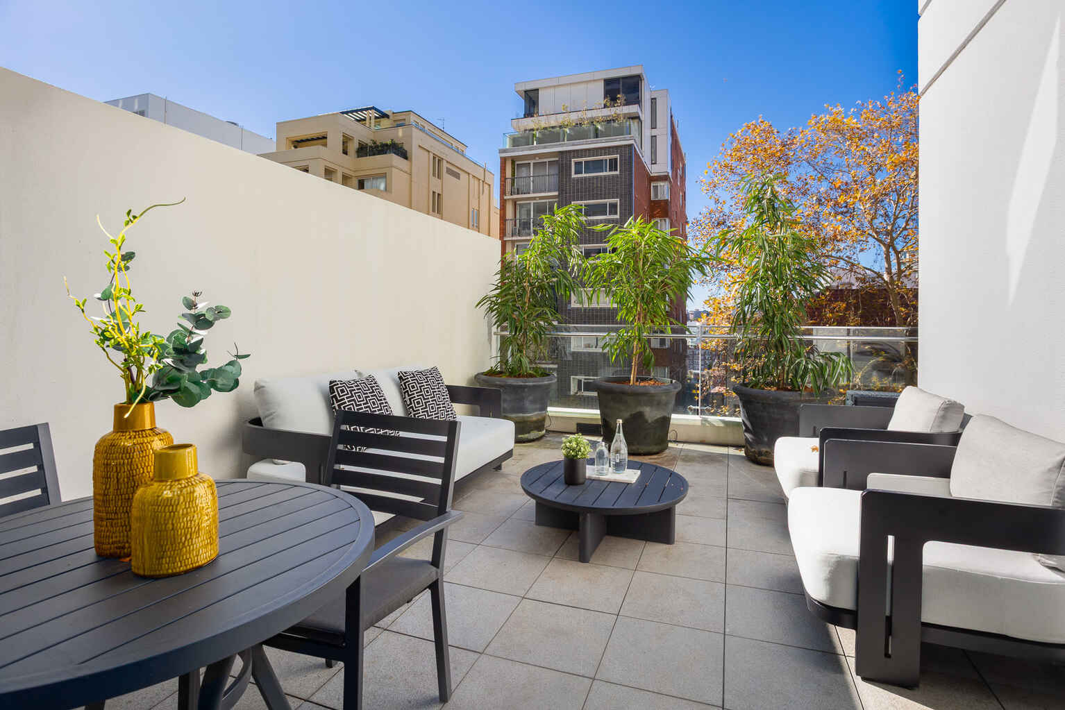 308/81 Macleay Street Potts Point