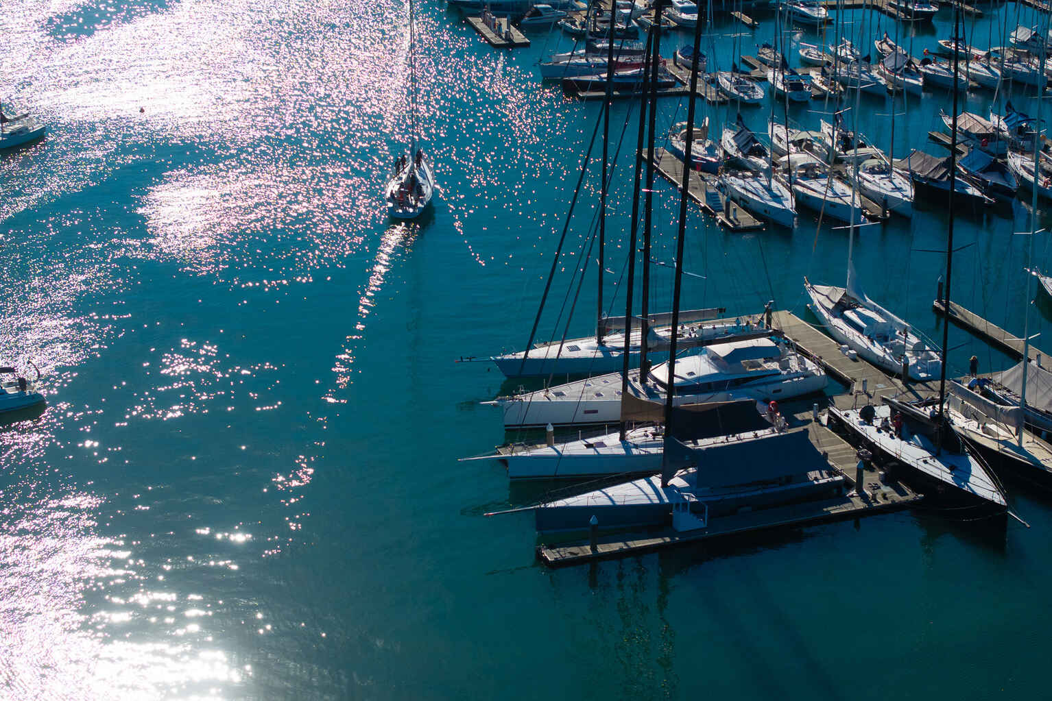 4/17-19 Waratah Street Rushcutters Bay 4/17-19 Waratah Street Rushcutters Bay