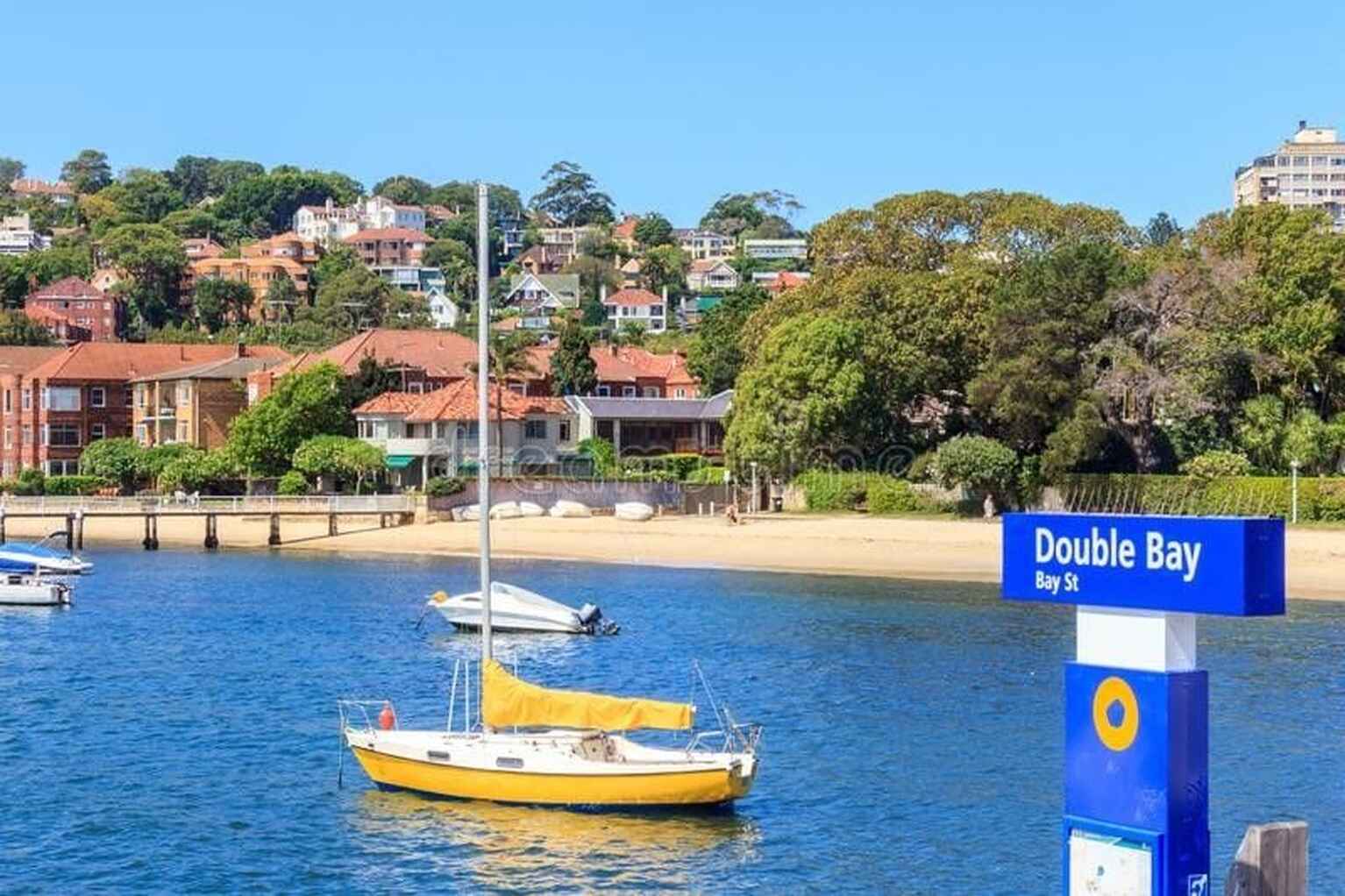 5/6 Stafford Street Double Bay