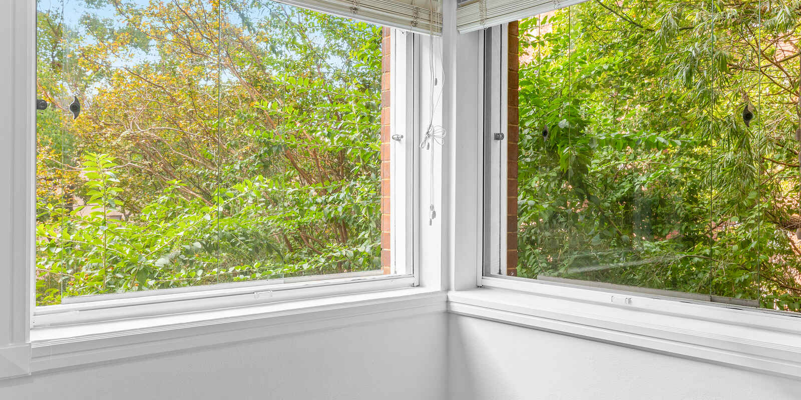 206/6A Birtley Place Elizabeth Bay 206/6A Birtley Place Elizabeth Bay