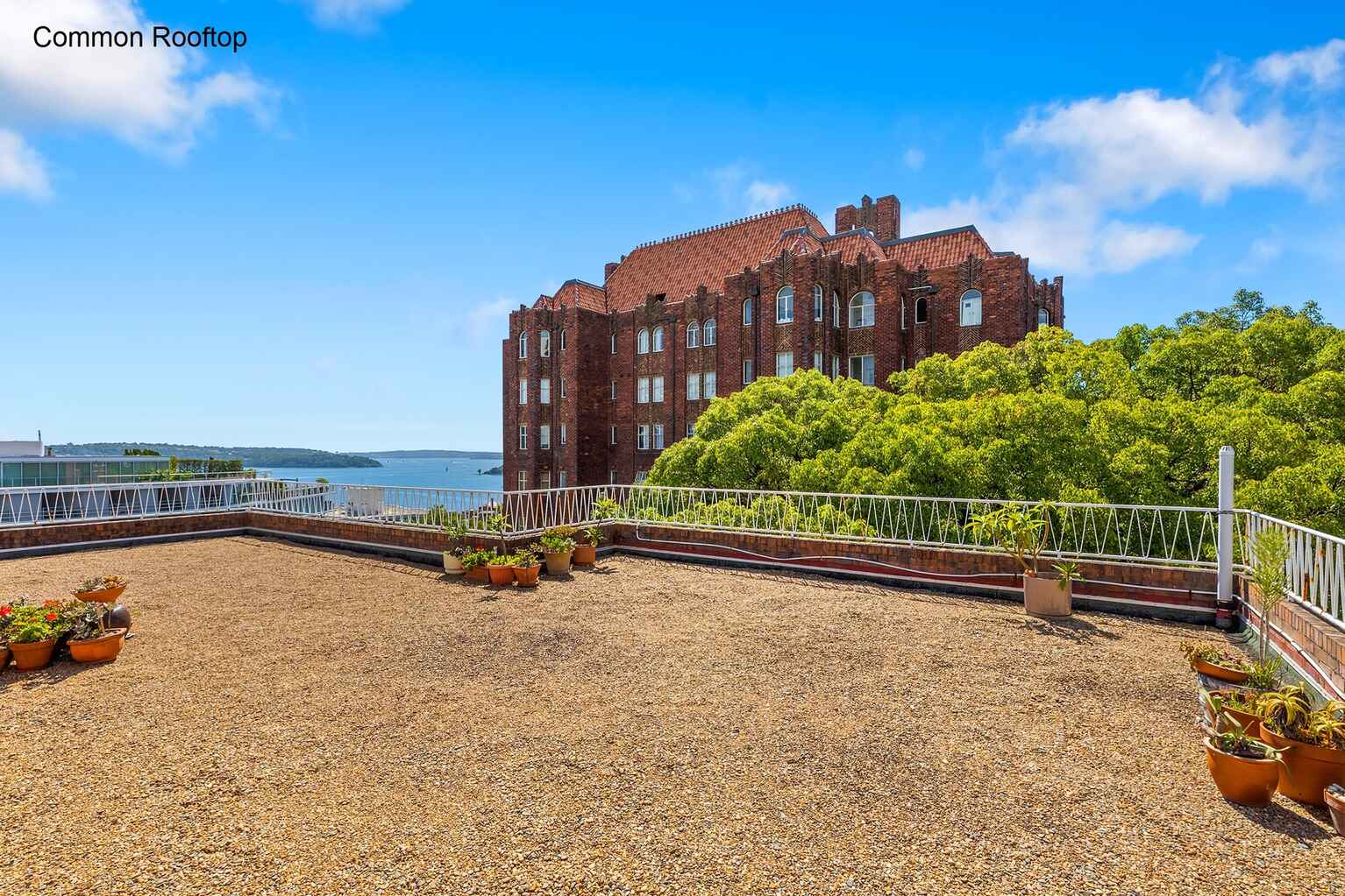 206/6A Birtley Place Elizabeth Bay 206/6A Birtley Place Elizabeth Bay