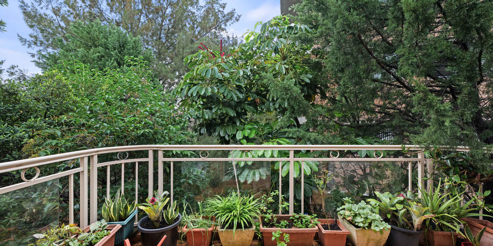 10/593 New Canterbury Road Dulwich Hill
