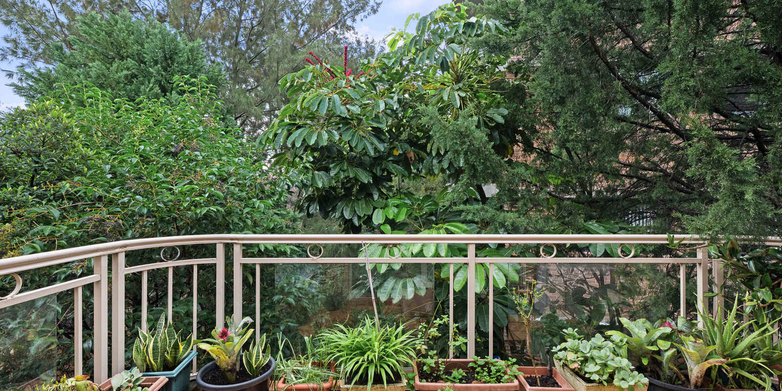 10/593 New Canterbury Road Dulwich Hill