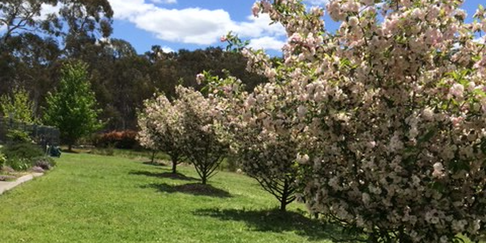 420 Mulwaree Drive Tallong 420 Mulwaree Drive Tallong