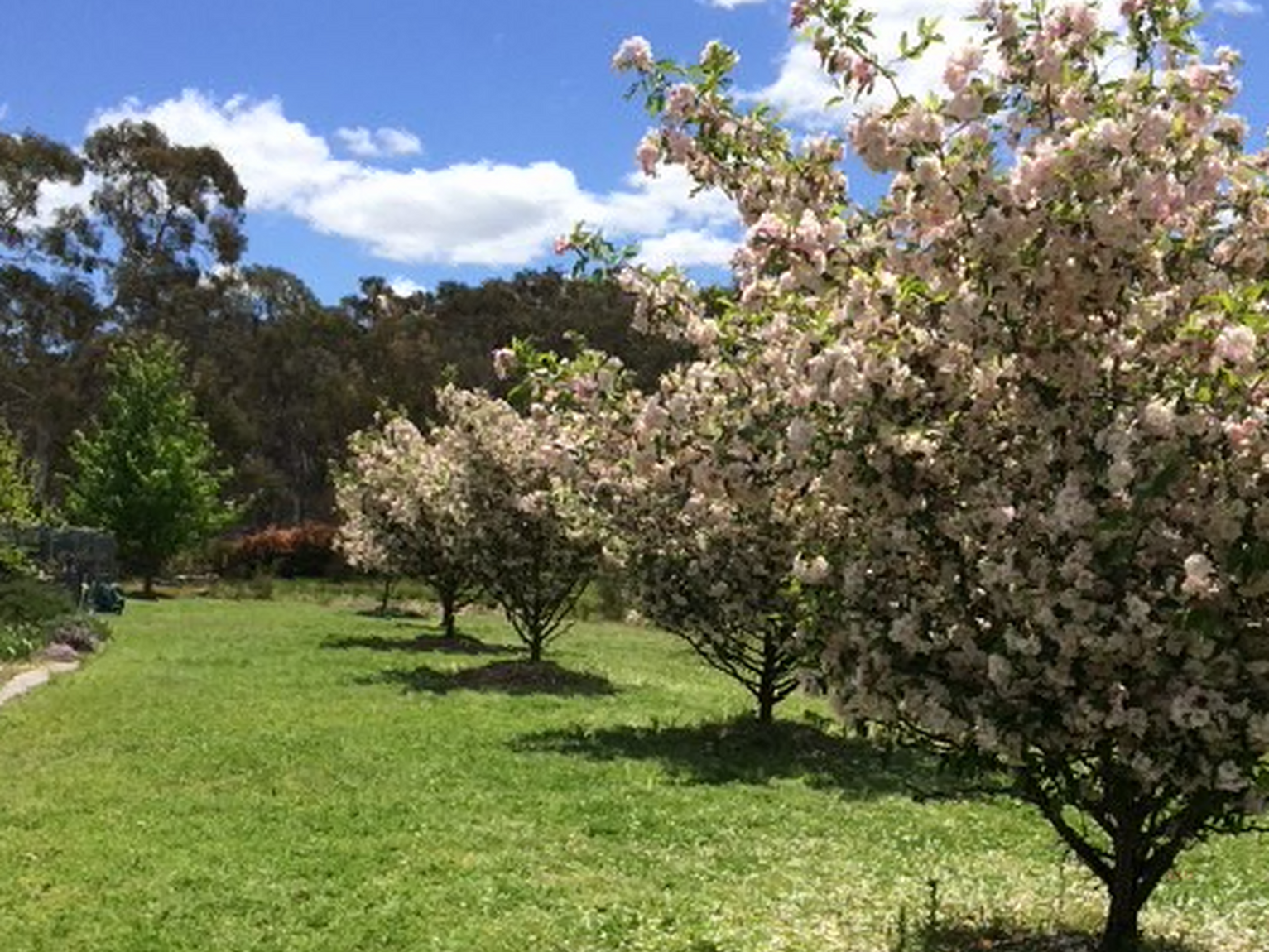 420 Mulwaree Drive Tallong 420 Mulwaree Drive Tallong