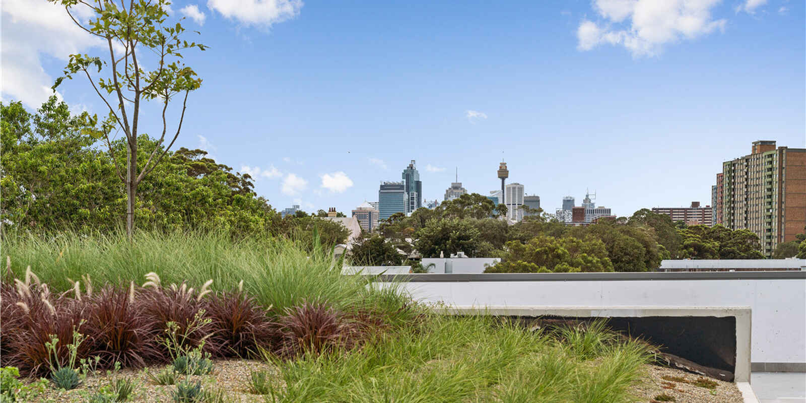 316/10-20 McEvoy Street Waterloo