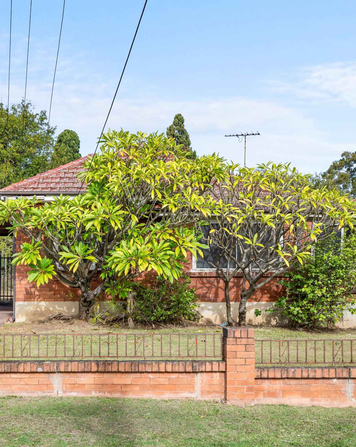 52 Amos Street Westmead, Westmead - Image 1