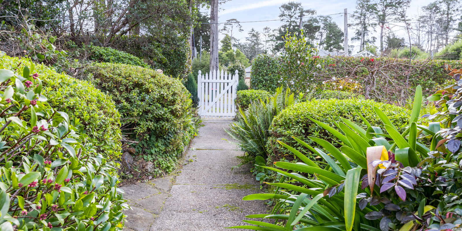 7 Barratt Street Blackheath 7 Barratt Street Blackheath