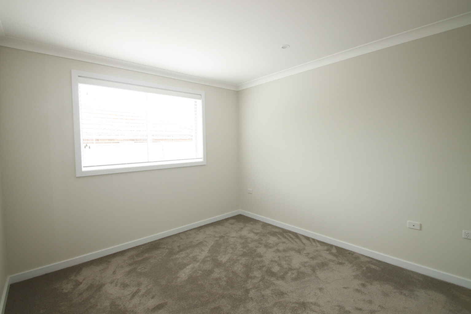 1/3 Roach Street Marrickville