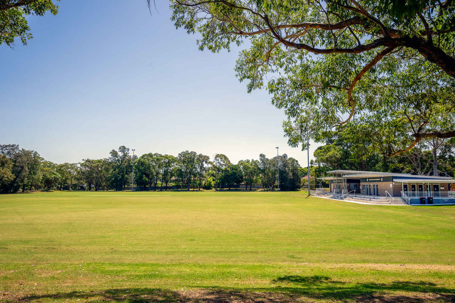 88 Canterbury Road Hurlstone Park