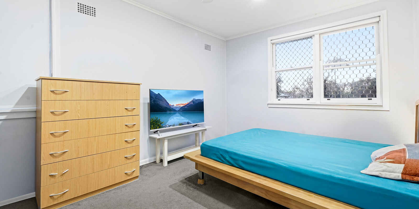 16 Robyn Street Blacktown