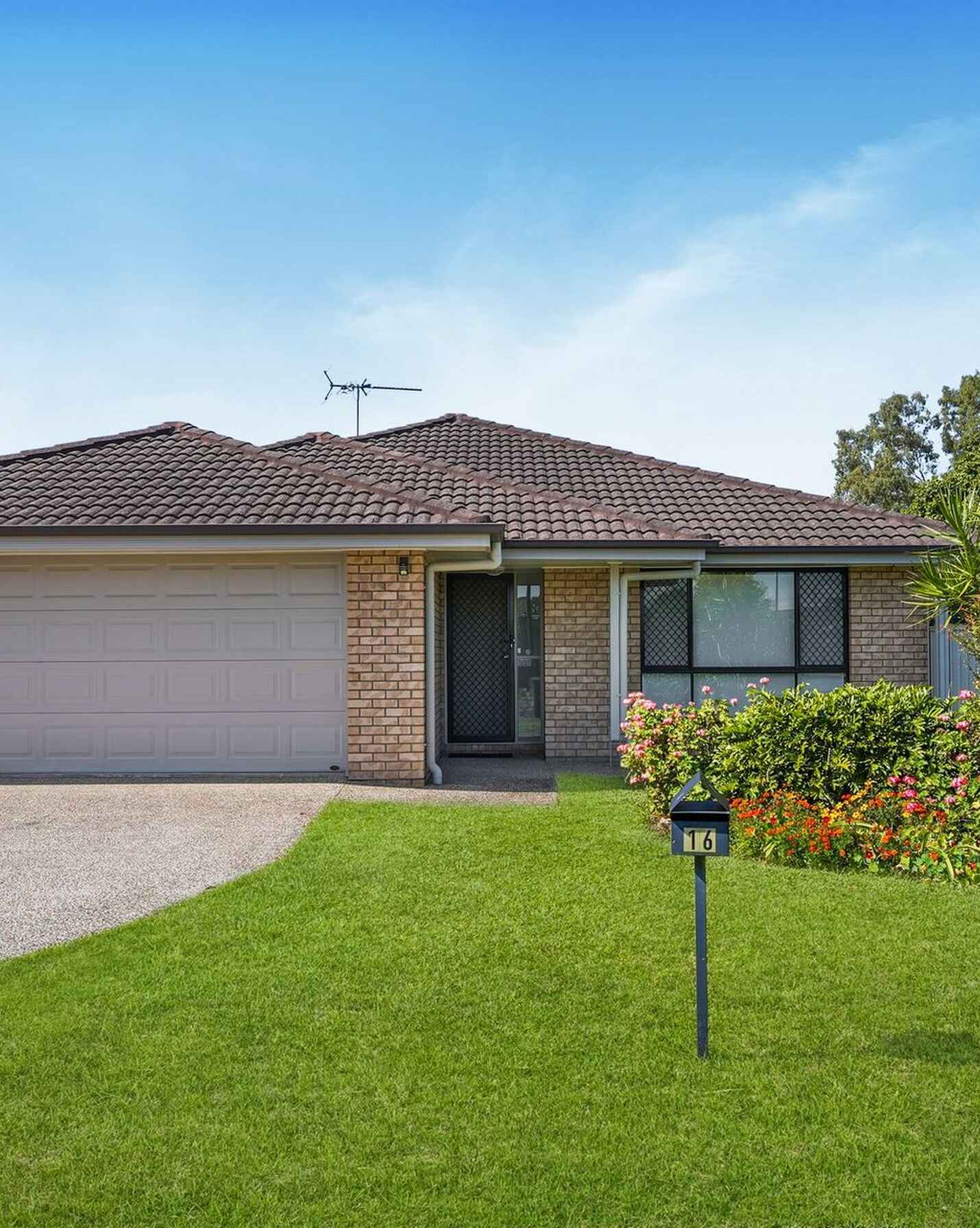 16 Lotus Avenue Bellmere, Bellmere - Image 1