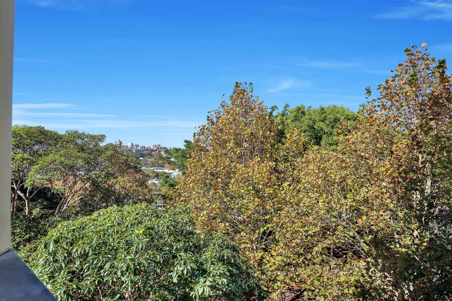 5/52-54 Kings Cross Road Rushcutters Bay