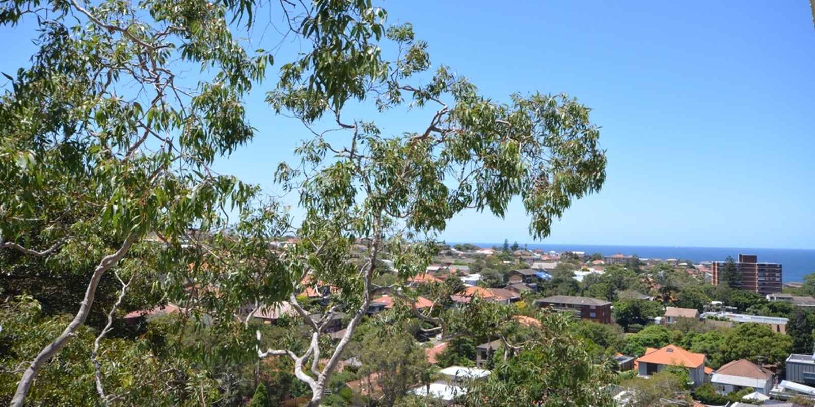 404/72 Henrietta Street Waverley