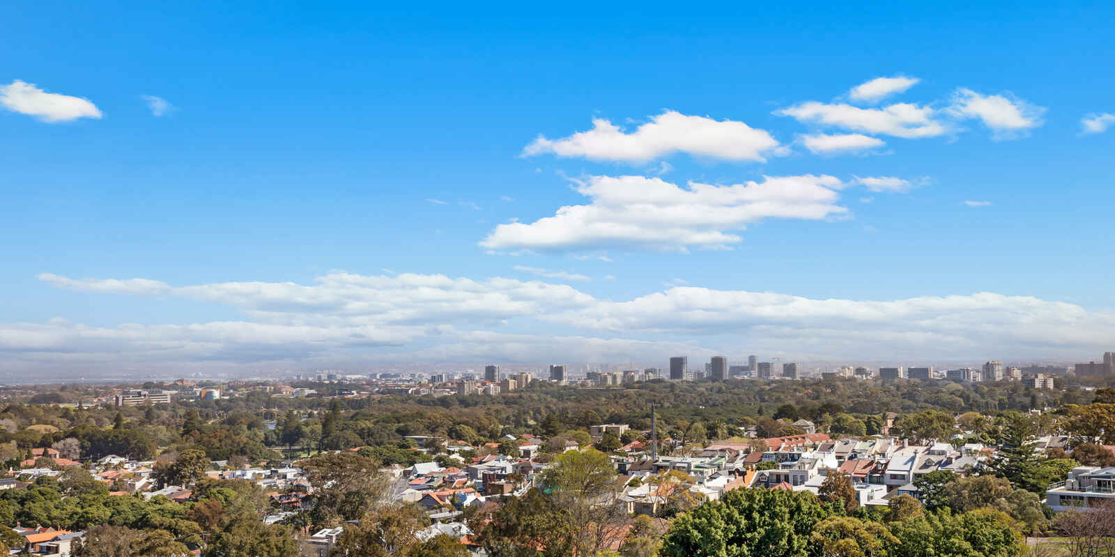 801/80 Ebley Street Bondi Junction