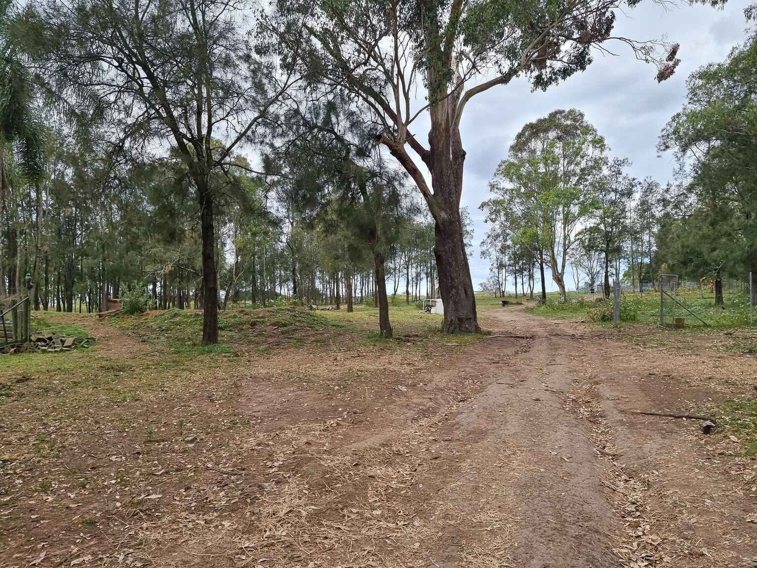 338 Catherine Fields Road Catherine Field