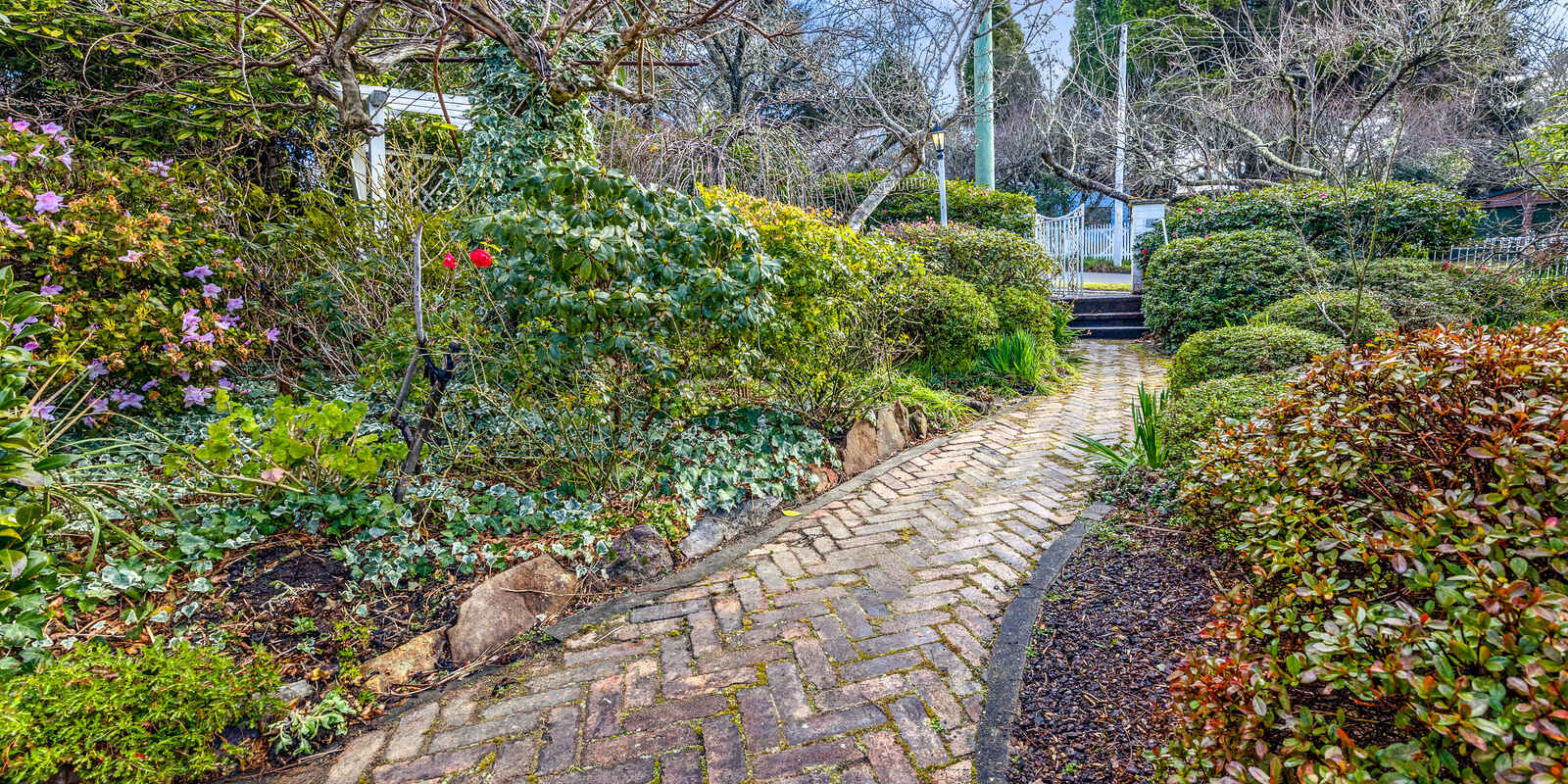 3 Gardiner Crescent Blackheath 3 Gardiner Crescent Blackheath