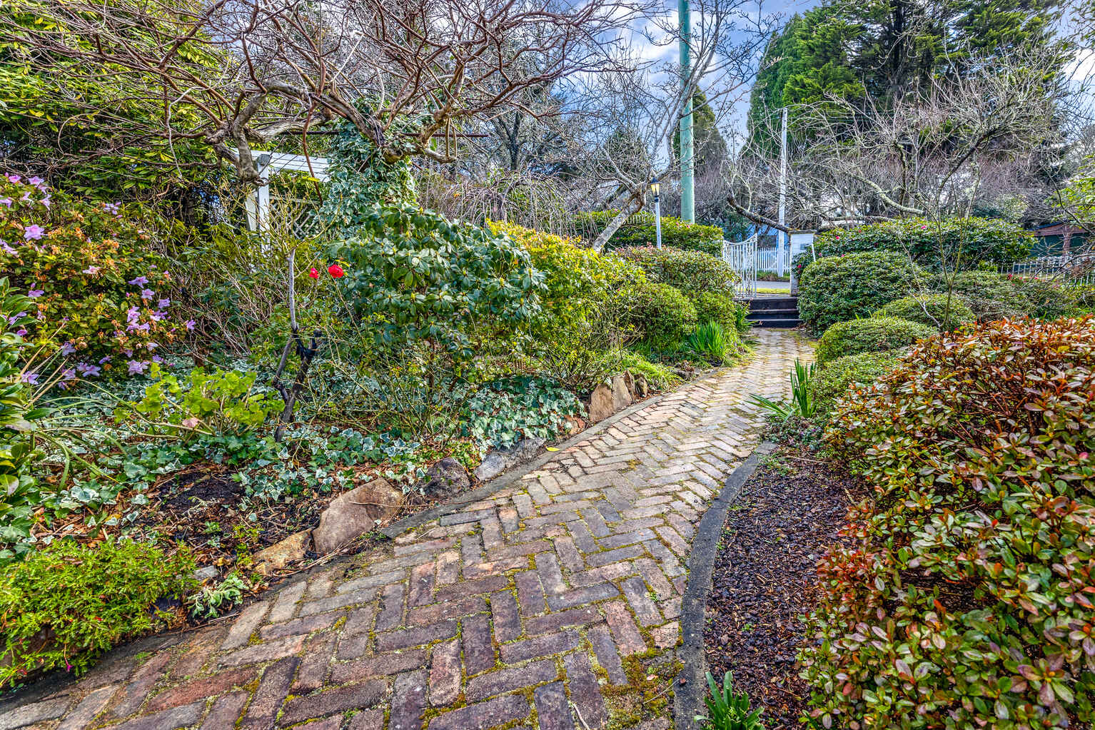 3 Gardiner Crescent Blackheath 3 Gardiner Crescent Blackheath