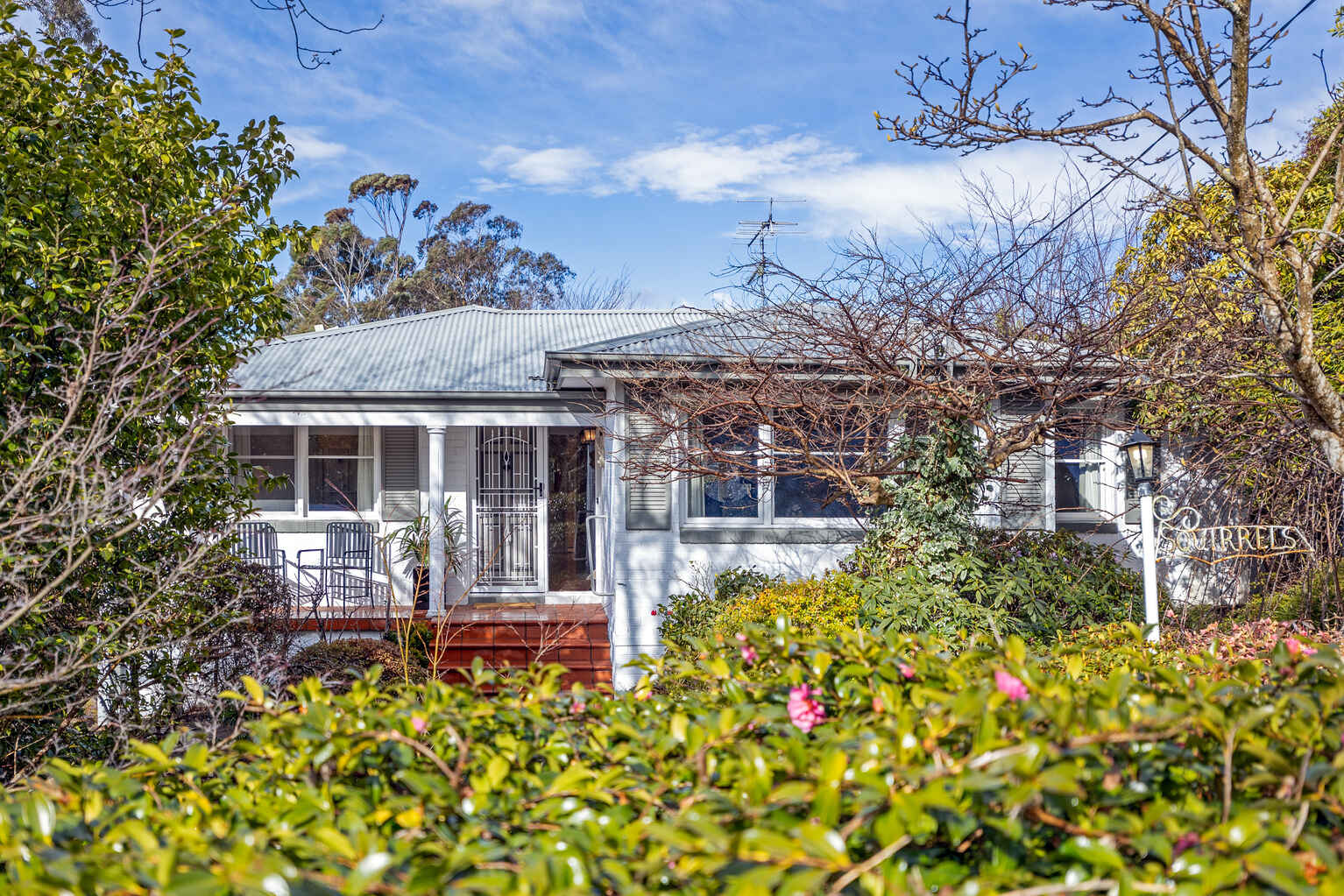 3 Gardiner Crescent Blackheath 3 Gardiner Crescent Blackheath