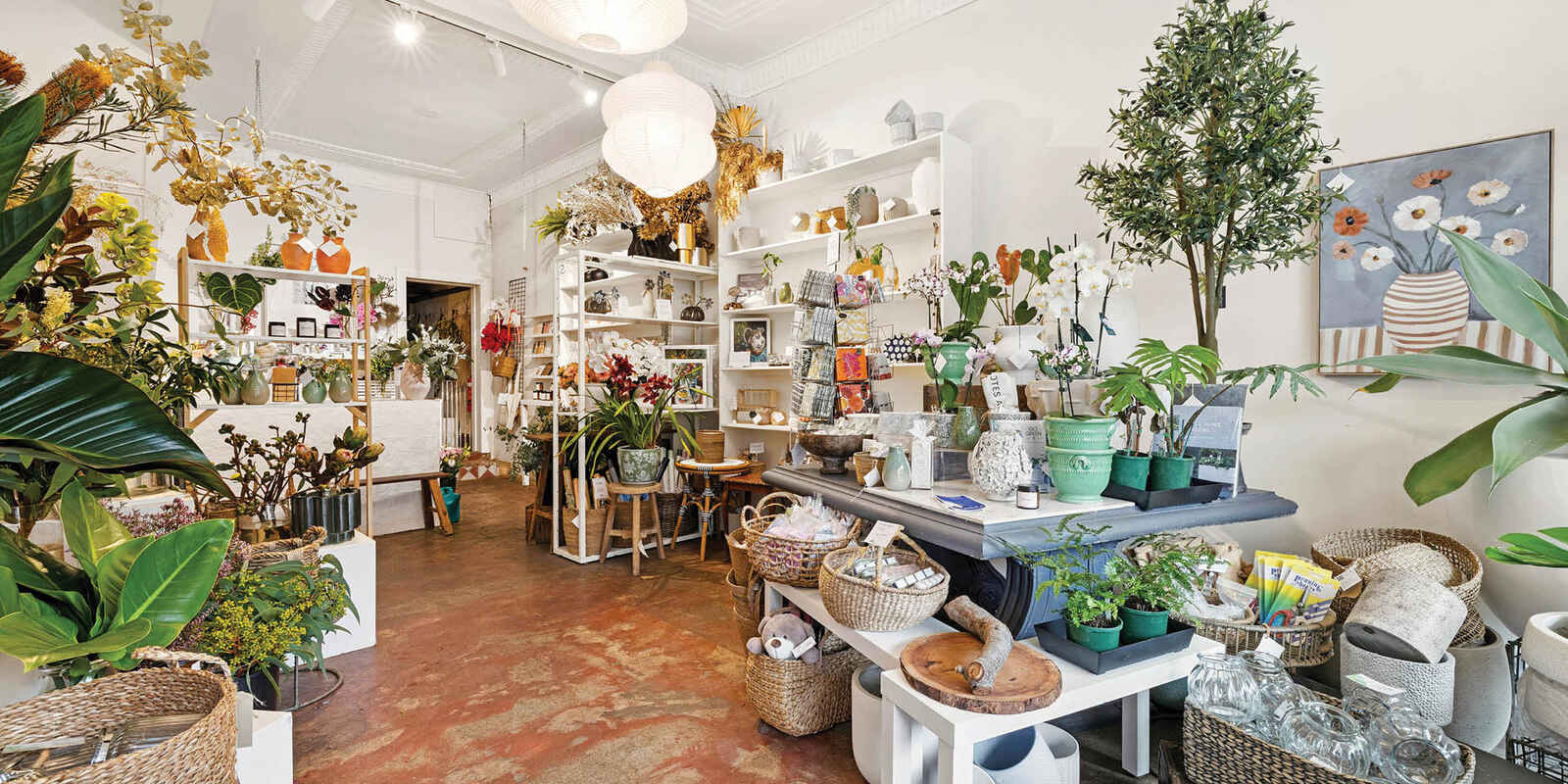 145 Macpherson Street Bronte 145 Macpherson Street Bronte
