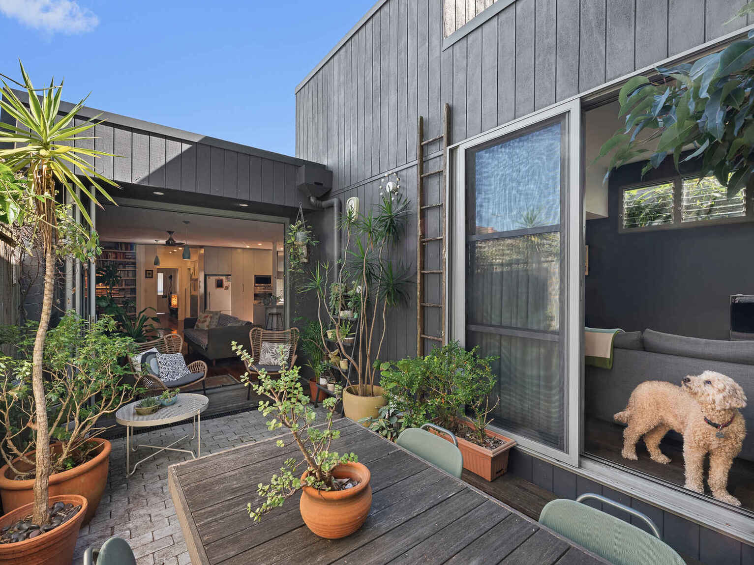 14 William Street Ashfield 14 William Street Ashfield