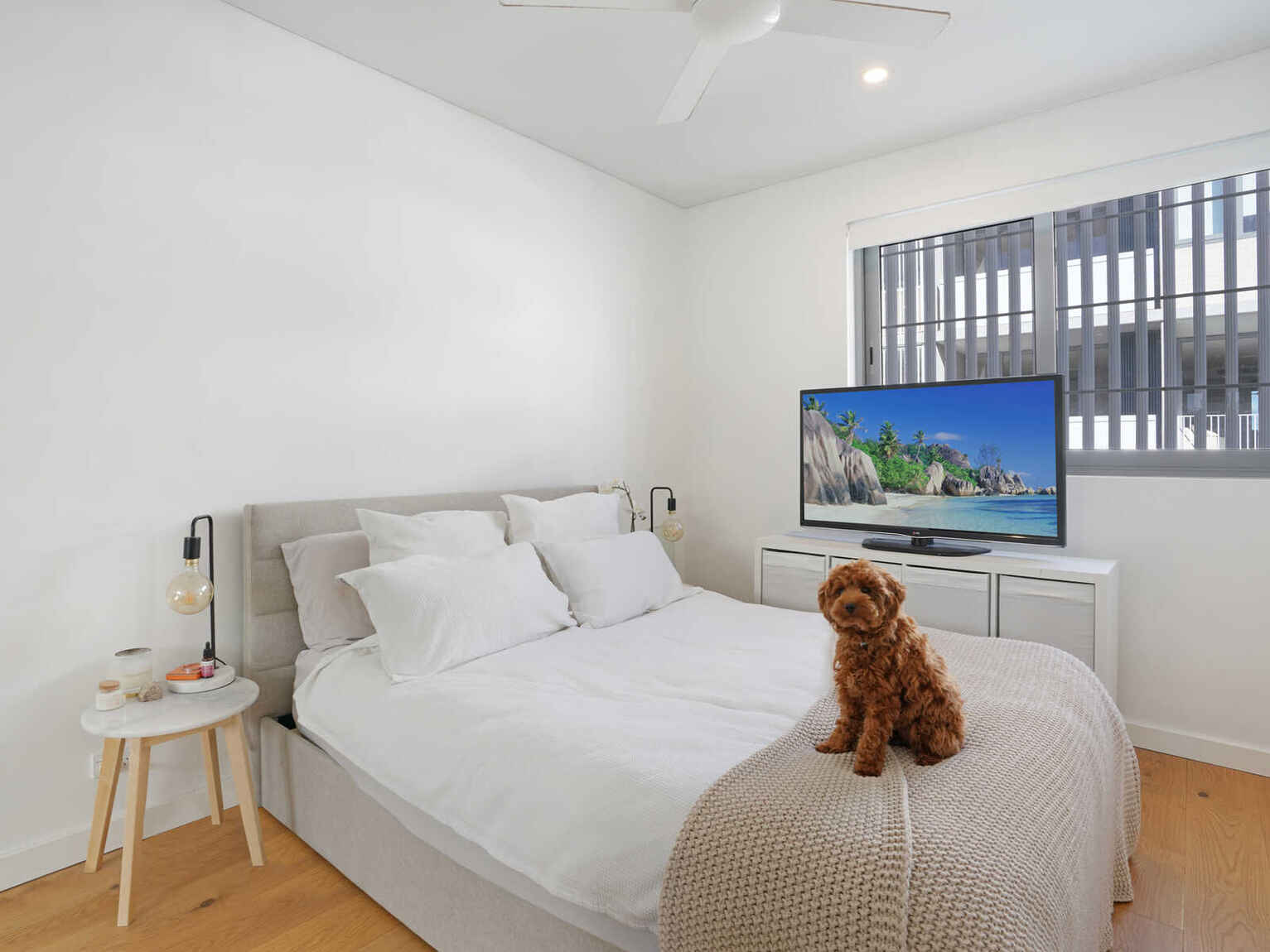 361/803 New Canterbury Road Dulwich Hill
