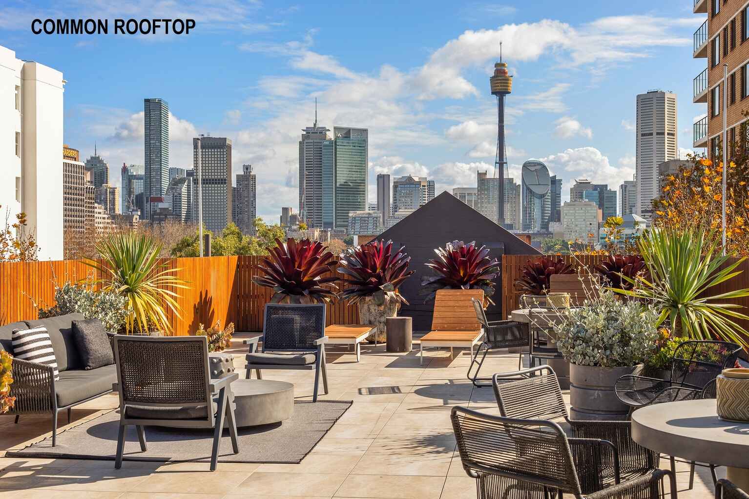 36/18 Springfield Avenue Potts Point