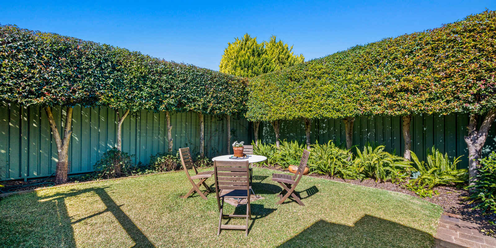 19 Ardgryffe Street Burwood Heights