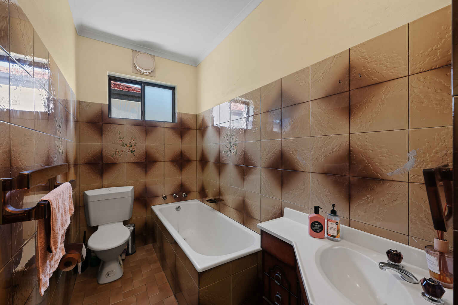 25 Canterton Street Hurlstone Park