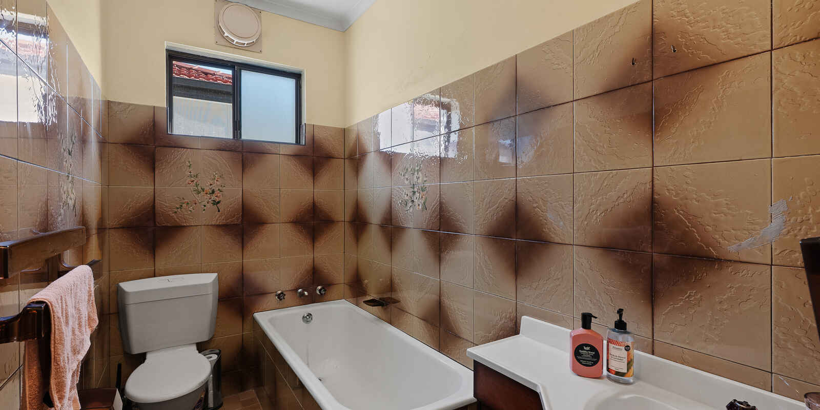 25 Canterton Street Hurlstone Park