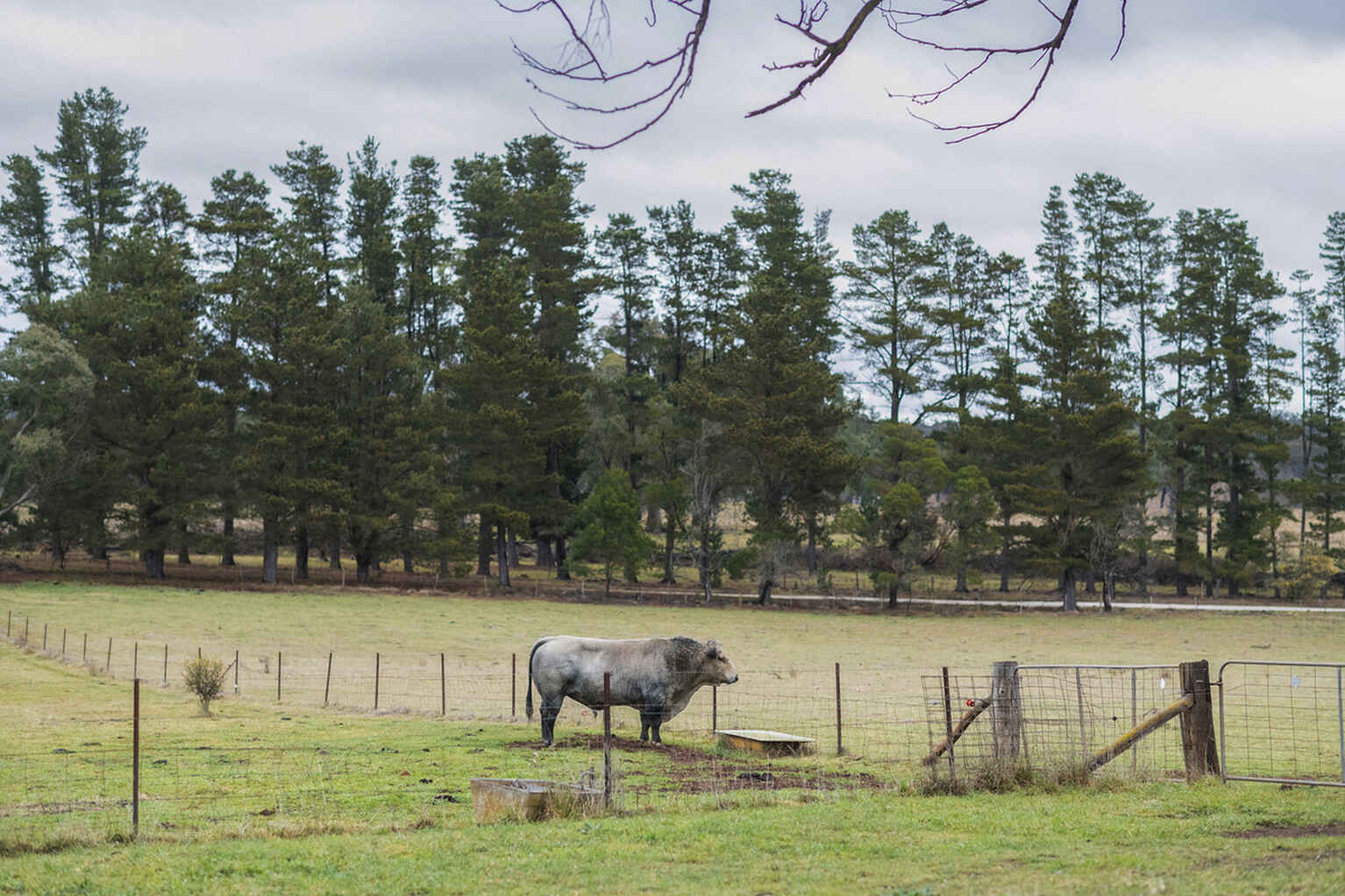4539 Oallen Ford Road Bungonia Goulburn 4539 Oallen Ford Road Bungonia Goulburn