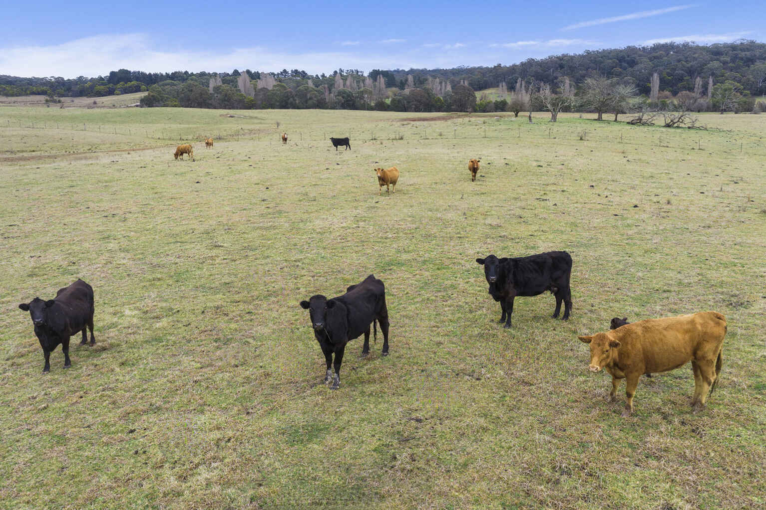 4539 Oallen Ford Road Bungonia Goulburn 4539 Oallen Ford Road Bungonia Goulburn