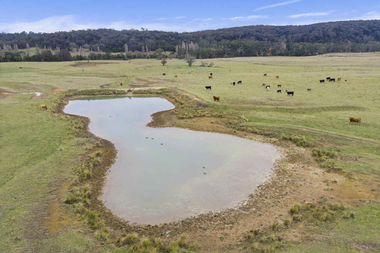 4539 Oallen Ford Road Bungonia Goulburn 4539 Oallen Ford Road Bungonia Goulburn