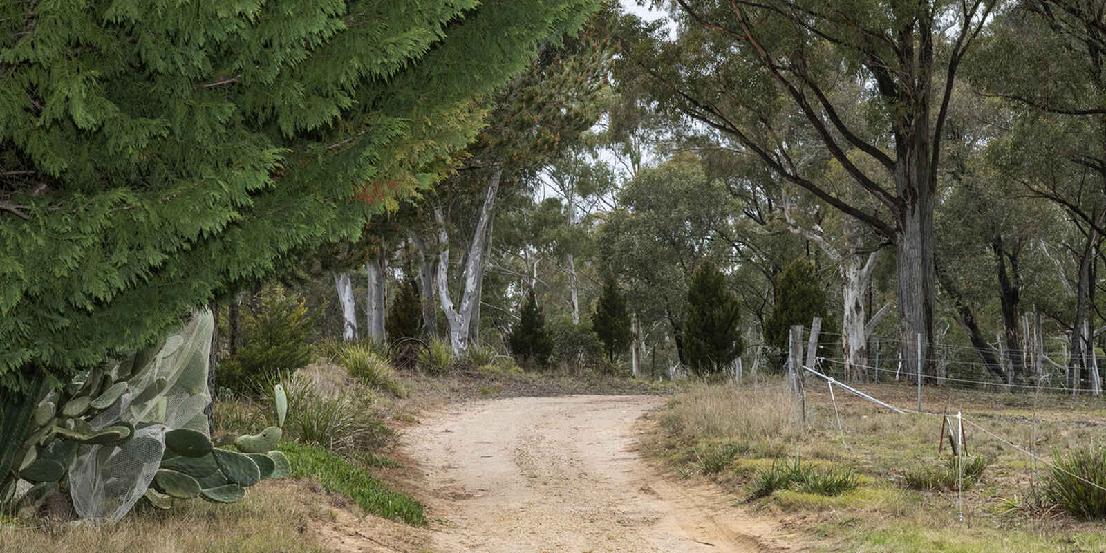 4559 Oallen Ford Road Bungonia Goulburn 4559 Oallen Ford Road Bungonia Goulburn