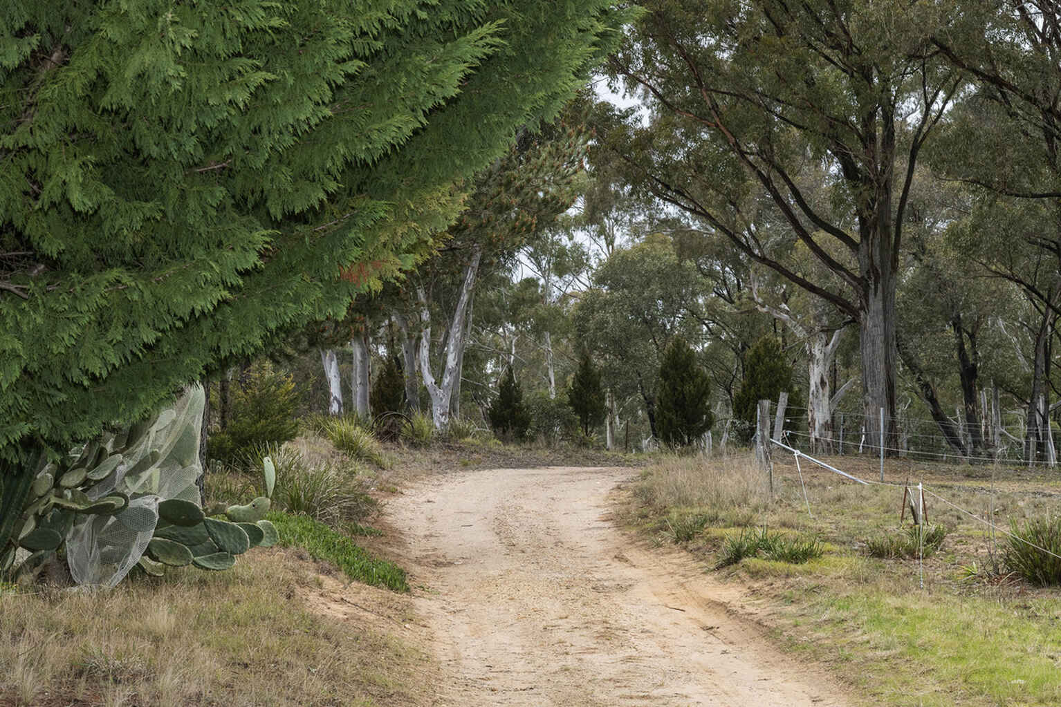 4559 Oallen Ford Road Bungonia Goulburn 4559 Oallen Ford Road Bungonia Goulburn