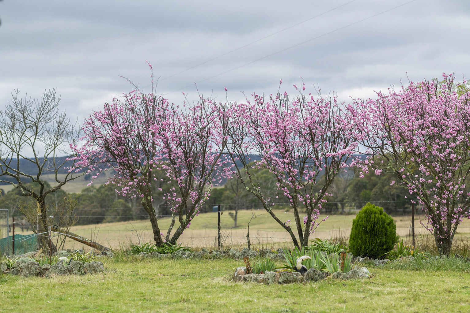 4559 Oallen Ford Road Bungonia Goulburn 4559 Oallen Ford Road Bungonia Goulburn