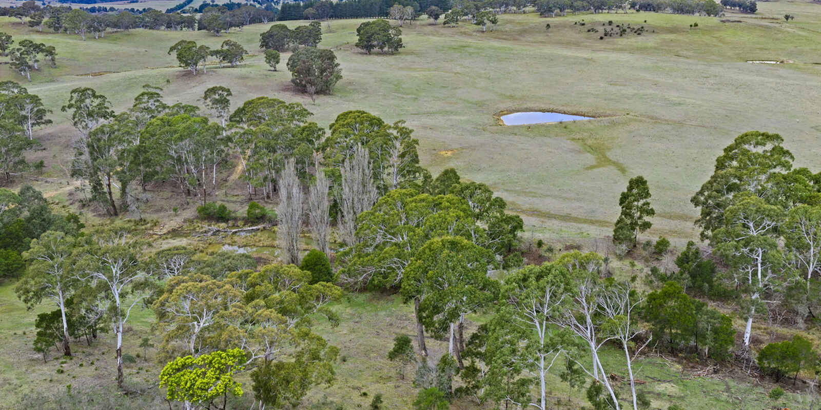4559 Oallen Ford Road Bungonia Goulburn 4559 Oallen Ford Road Bungonia Goulburn