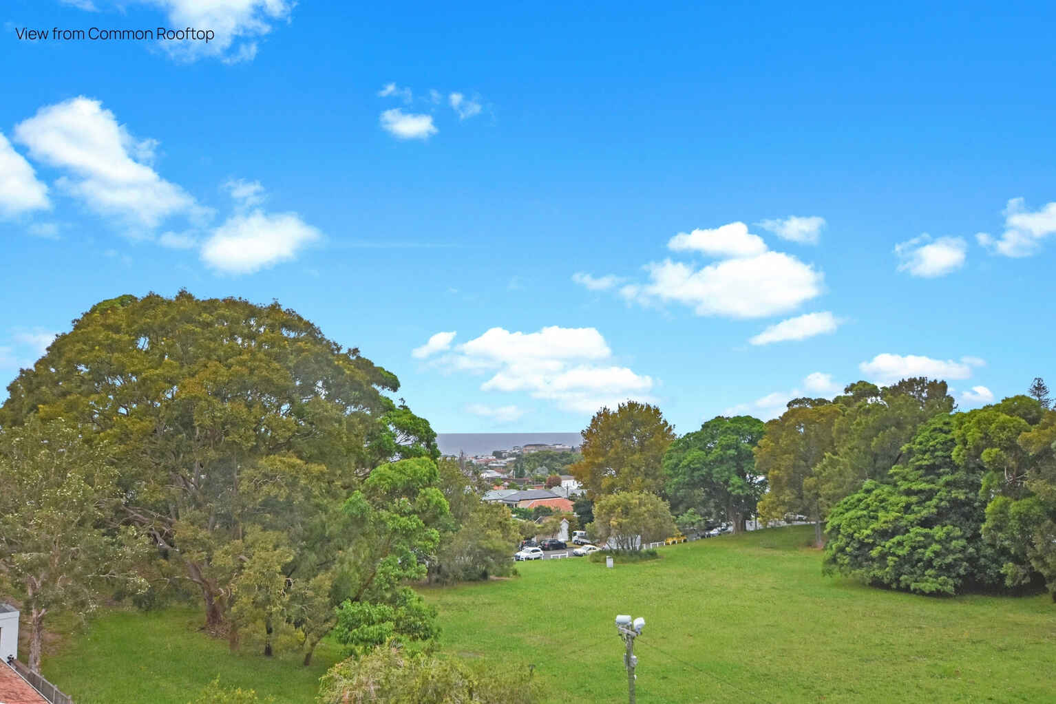 301/7 Wills Avenue Bronte