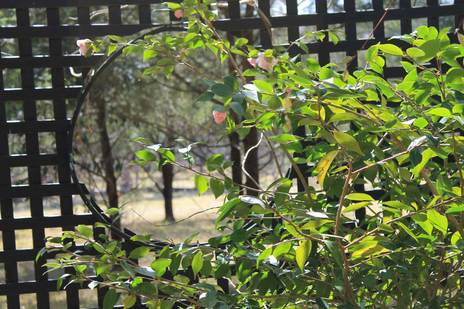 240 Caoura Road Tallong Marulan 240 Caoura Road Tallong Marulan