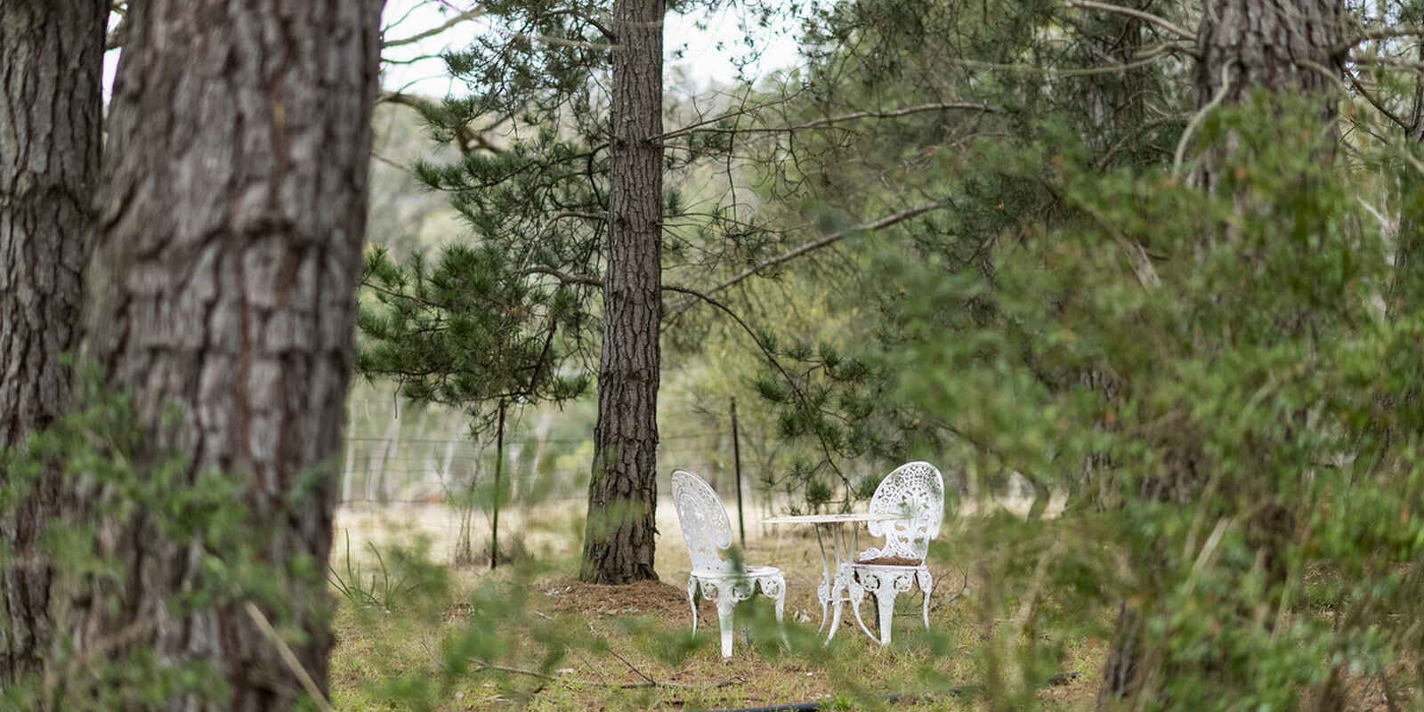 240 Caoura Road Tallong Marulan 240 Caoura Road Tallong Marulan