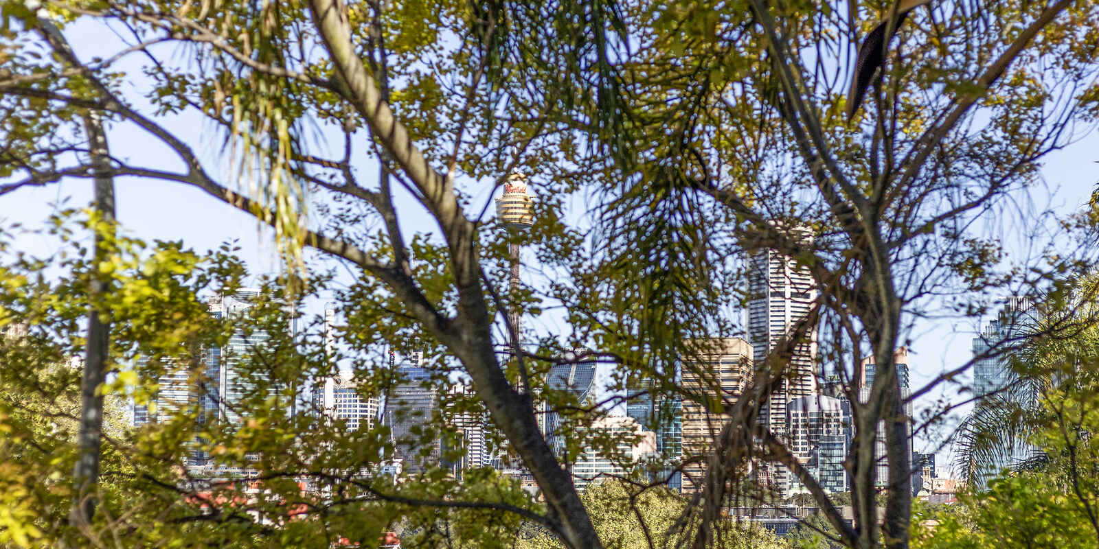 13/10 Challis Avenue Potts Point 13/10 Challis Avenue Potts Point