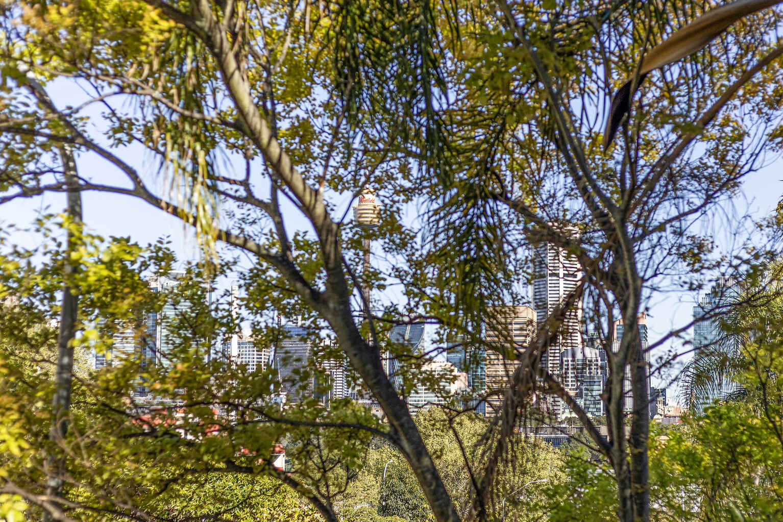 13/10 Challis Avenue Potts Point 13/10 Challis Avenue Potts Point