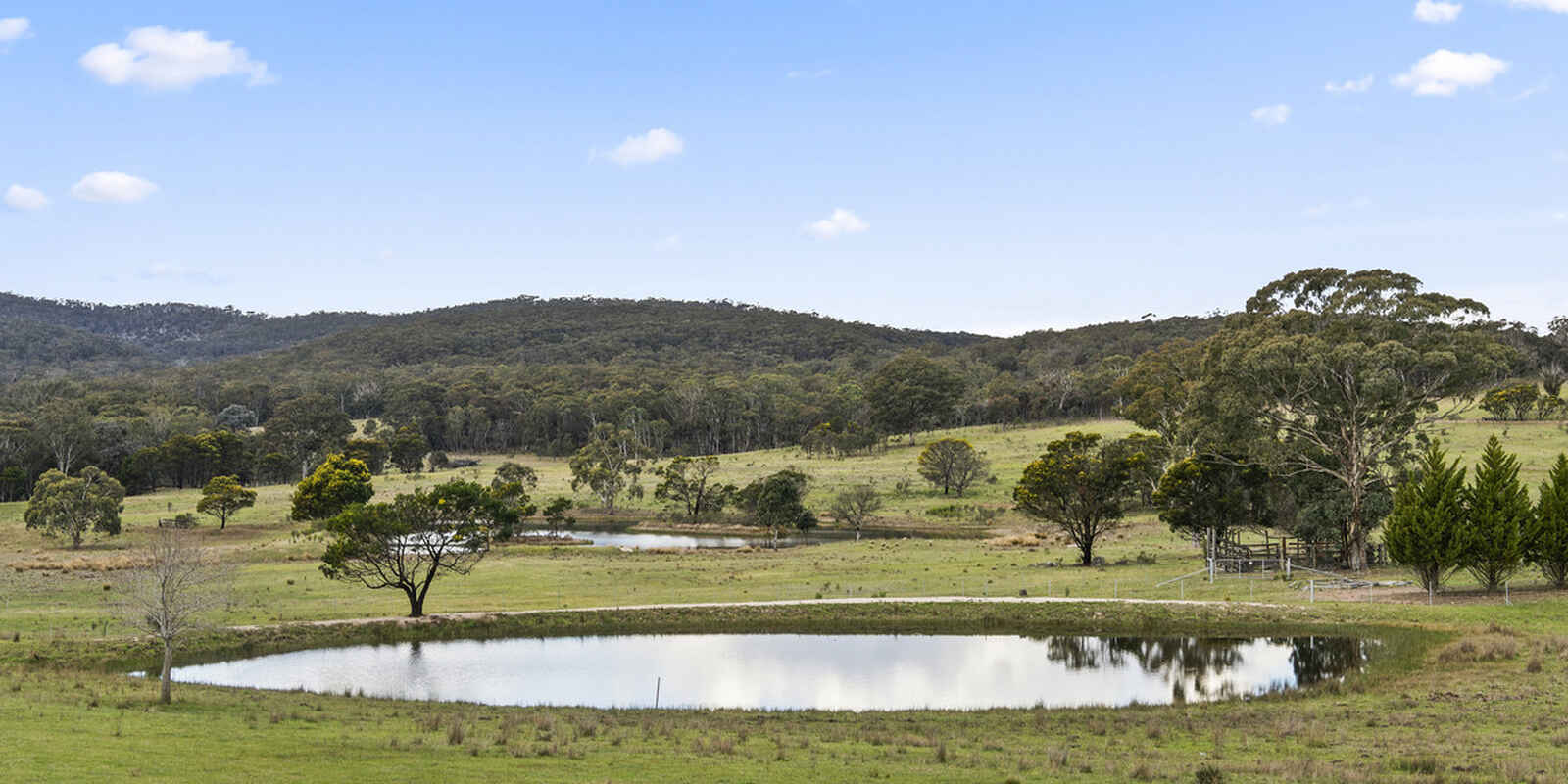 164 Selvon Park Road Boxers Creek Goulburn