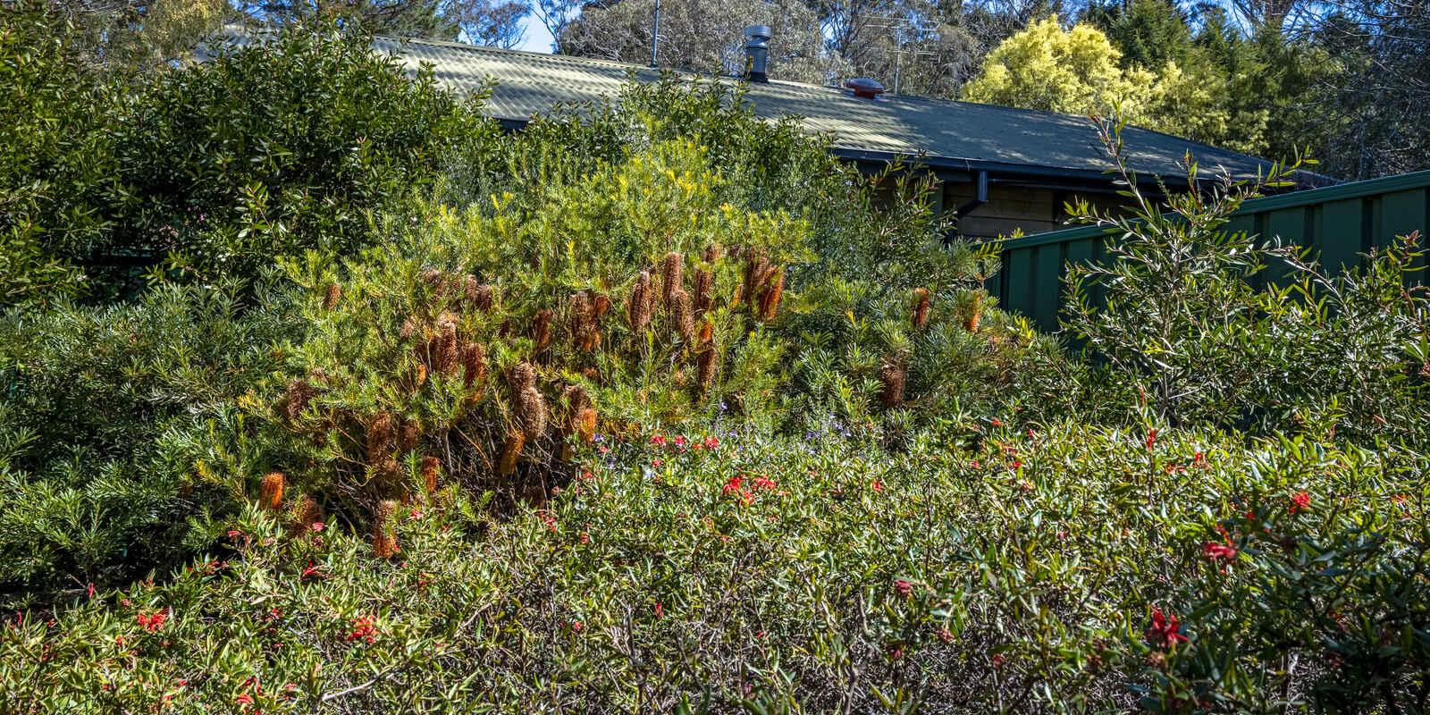 8 Waragil Street Blackheath