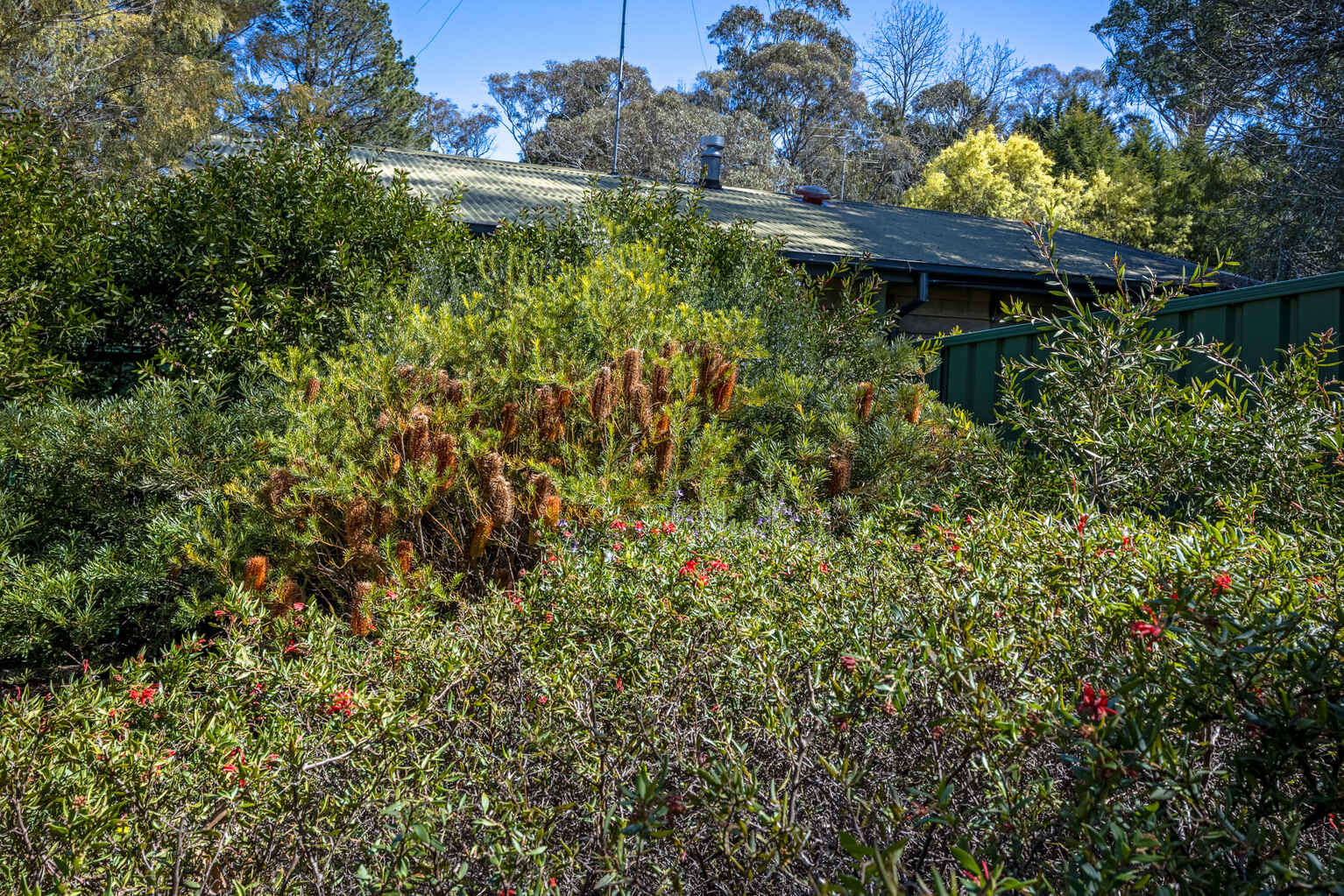 8 Waragil Street Blackheath