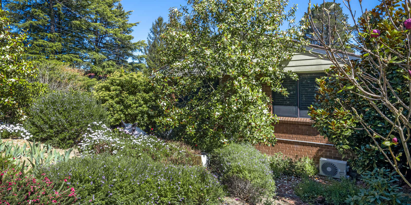 8 Waragil Street Blackheath